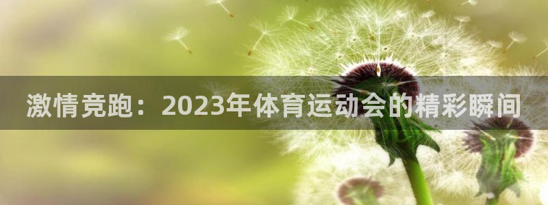 凯发官网下载招商电话地址:激情竞跑:2023年体育运动会的精