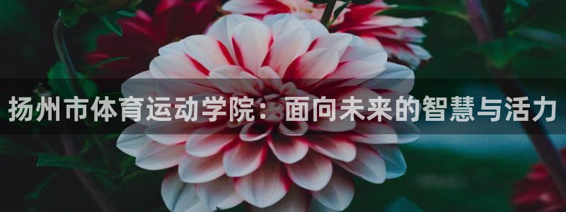 凯发官网下载:扬州市体育运动学院:面向未来的智慧与活力