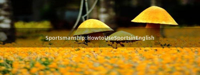 凯发官方正版app集团官网首页:Sportsmanship: