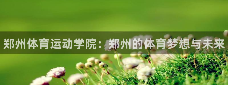 凯发官网下载软件:郑州体育运动学院:郑州的体育梦想与未来