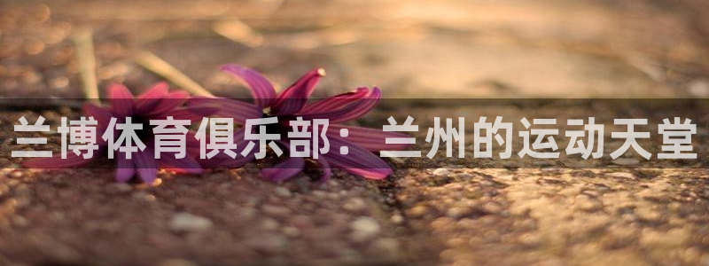 凯发官方正版app代理:兰博体育俱乐部:兰州的运动天堂